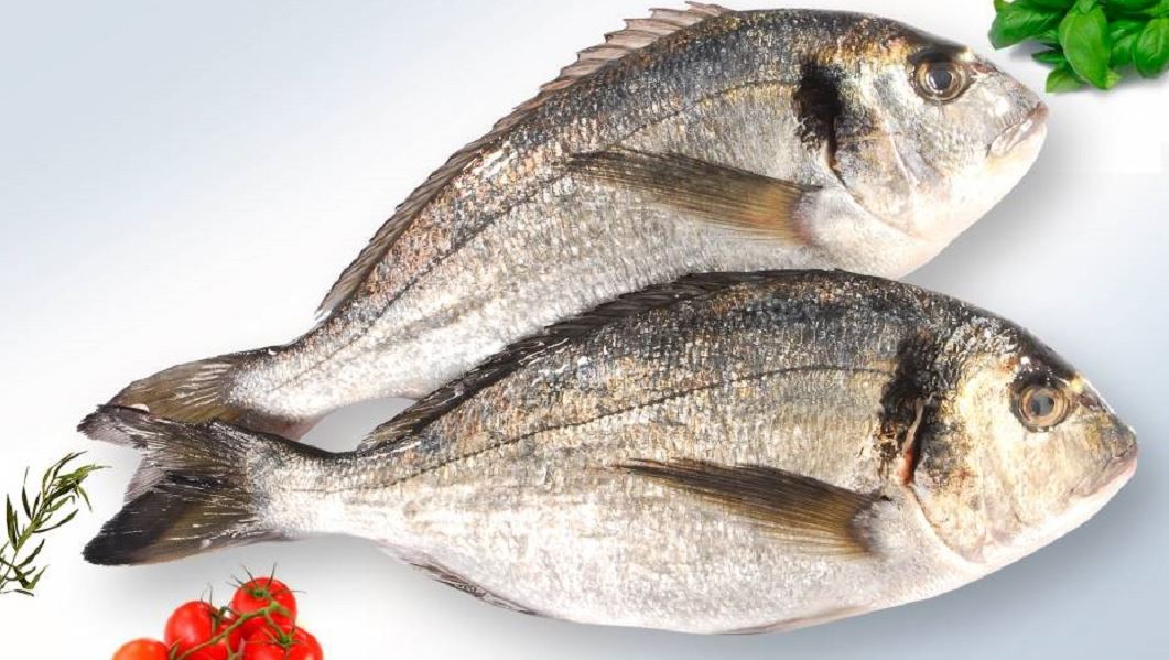 Daurades Sauvages très Grandes (1Kg)