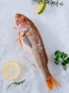 Rouget Gros 500 gr