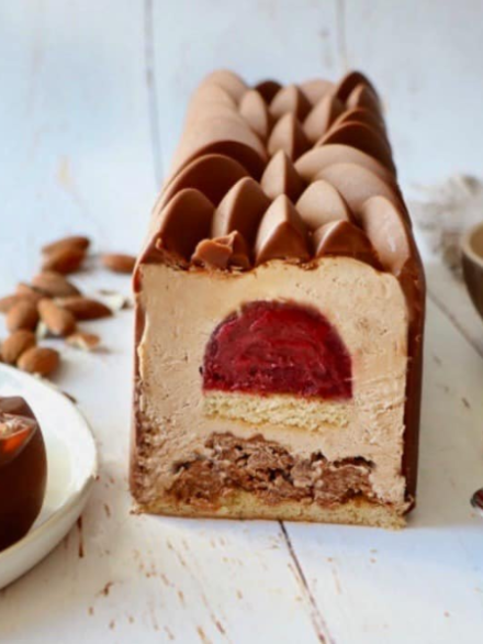 Bûche Chocolat Framboise