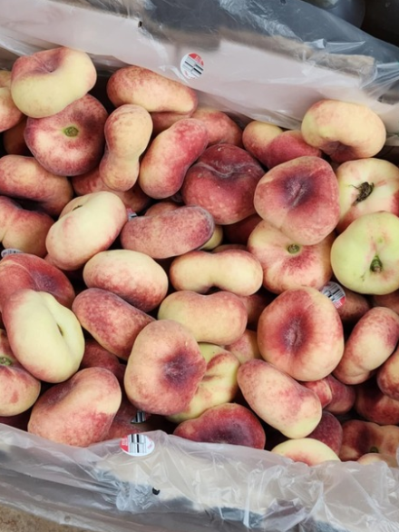 Pêche plate importée de Tunisie / 1KG