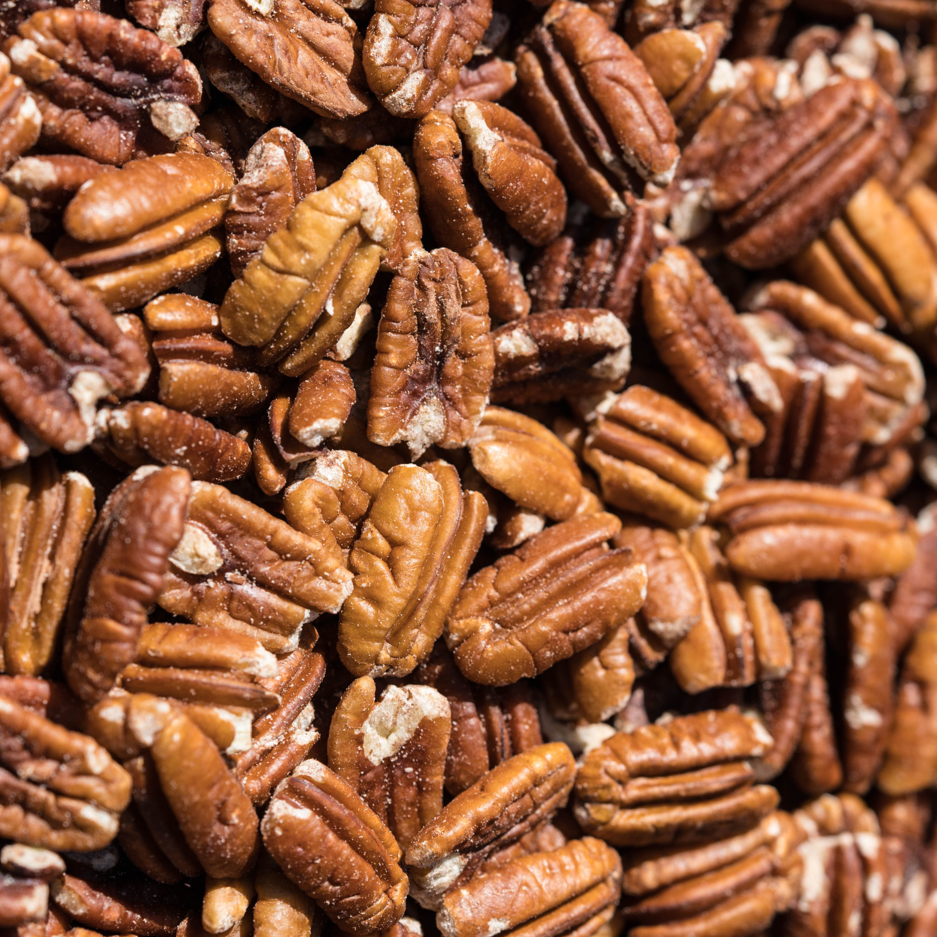 epi carthage - 2025-05-22T015423.189