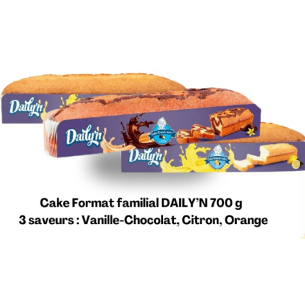 Cake Format familial DAILY'N 700 g