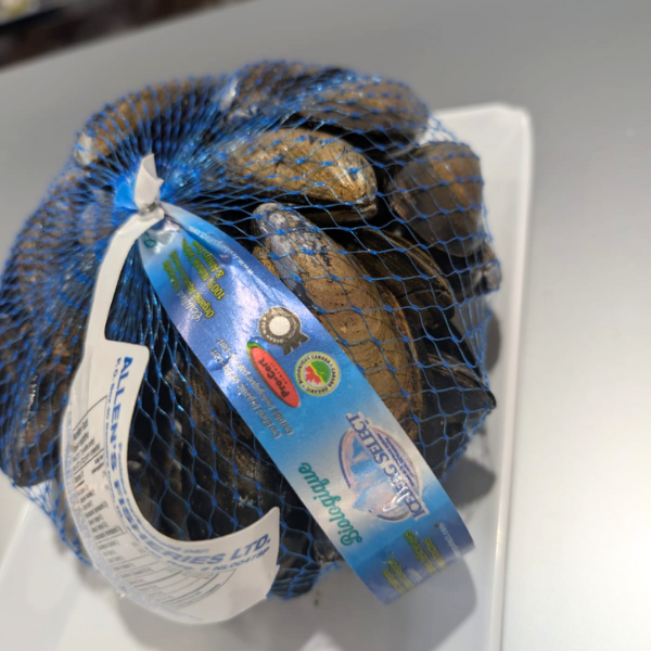 Design sans titre - 2025-10-01T105121.645