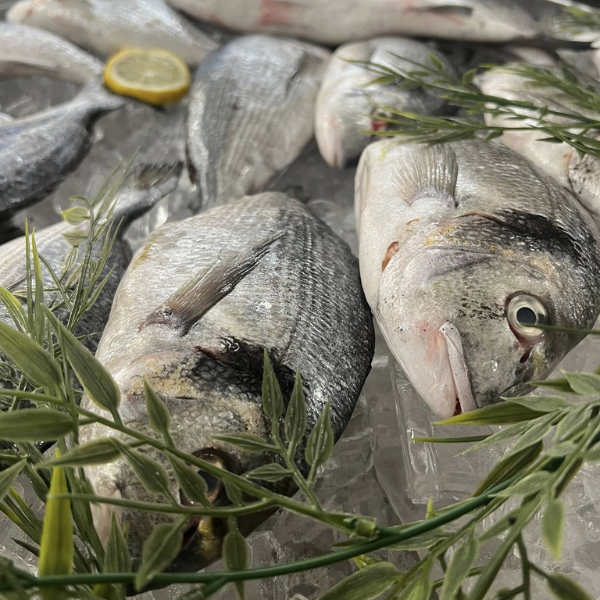 Design sans titre - 2025-10-01T110446.662