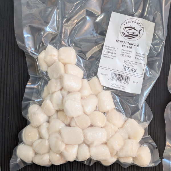 Design sans titre - 2025-10-01T142300.222