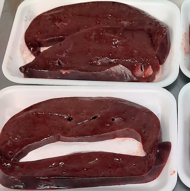 FB_IMG_1760552937436